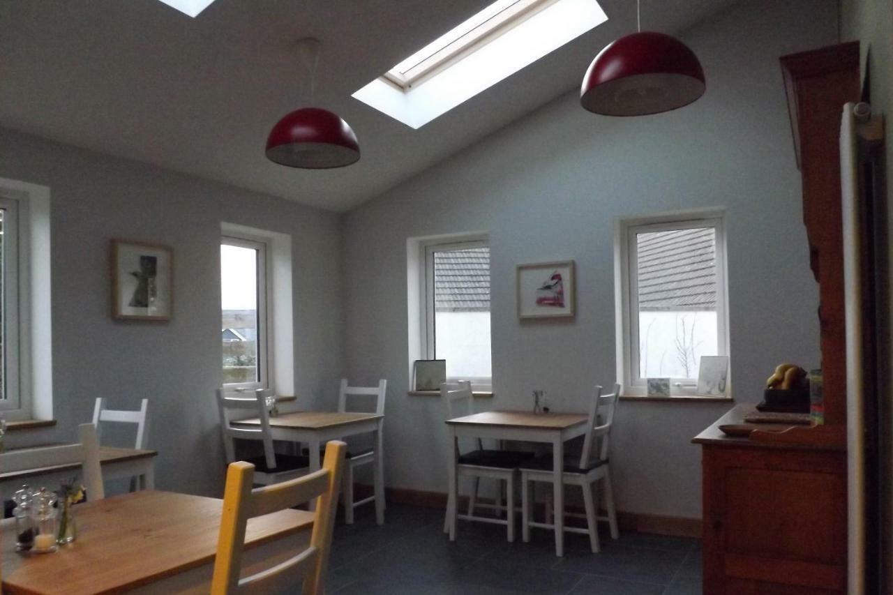 Ty Boia Bed & Breakfast St. Davids  Exteriör bild